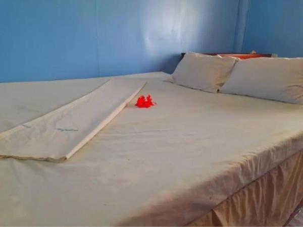 Mana Lagoon Backpackers Extérieur photo